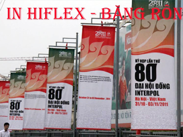 In Hiflex 01